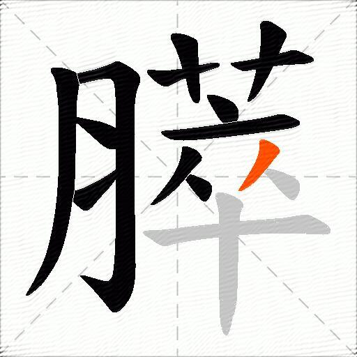 膵