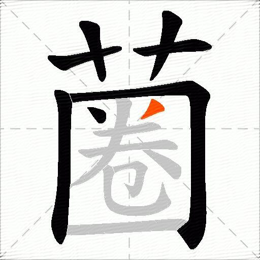 蔨