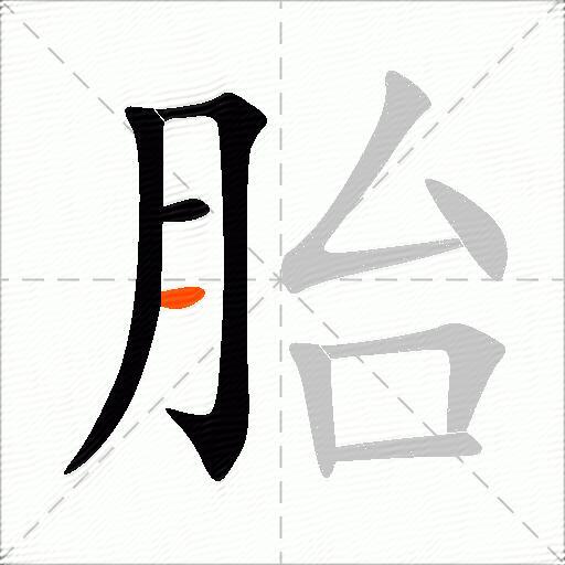 胎