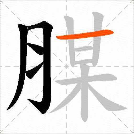 腜
