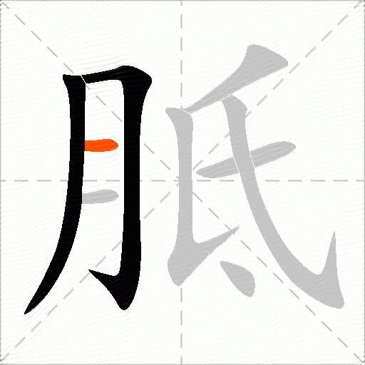 胝