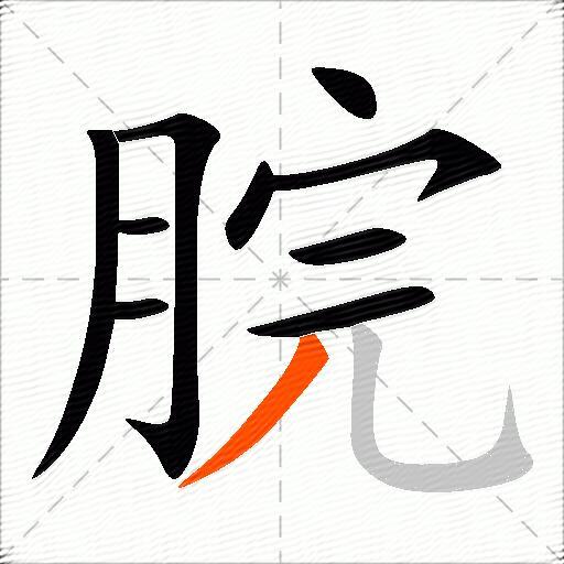 脘