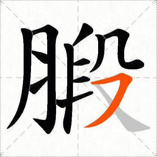 腶