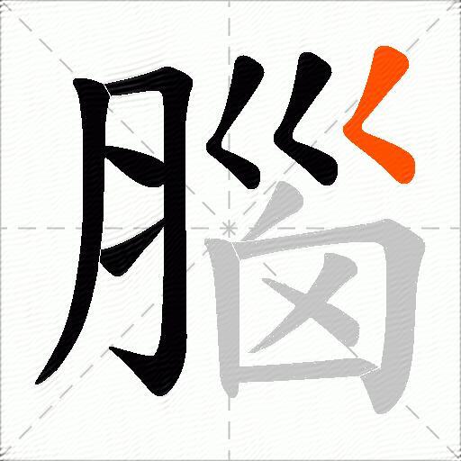 腦