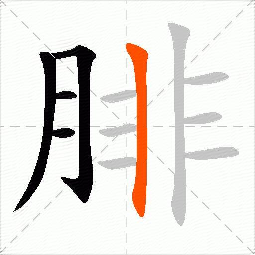 腓