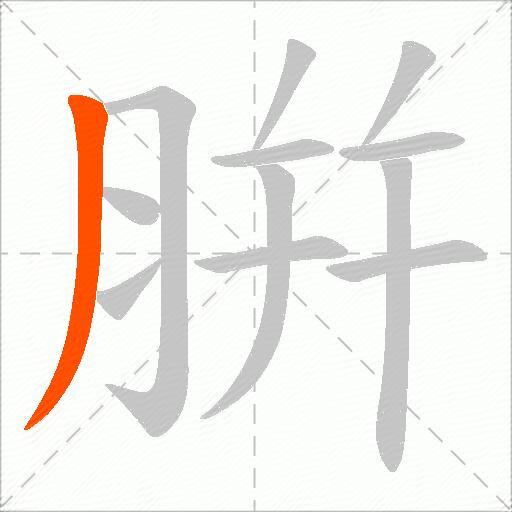 腁
