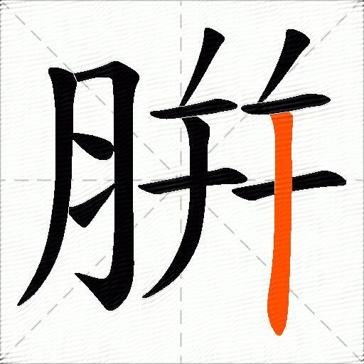 腁