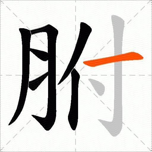 胕