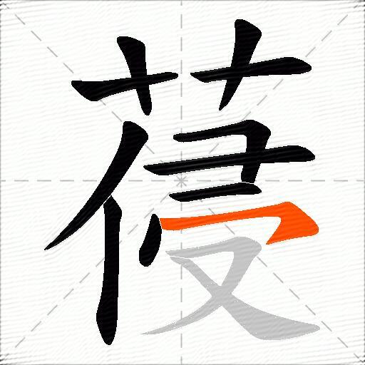 葠