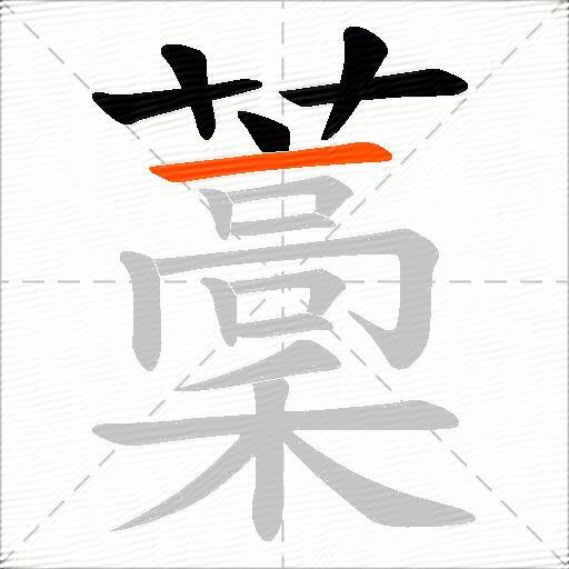 藳