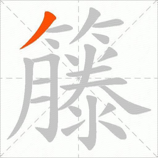 籐