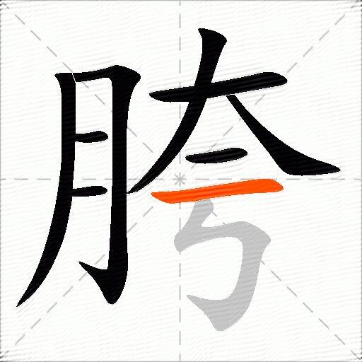 胯