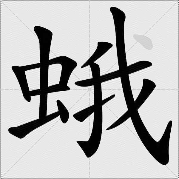 蛾