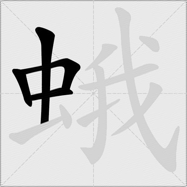 蛾