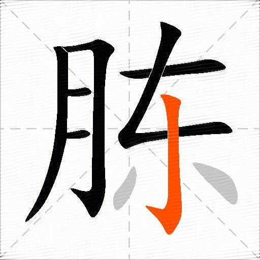 胨