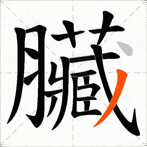 臟