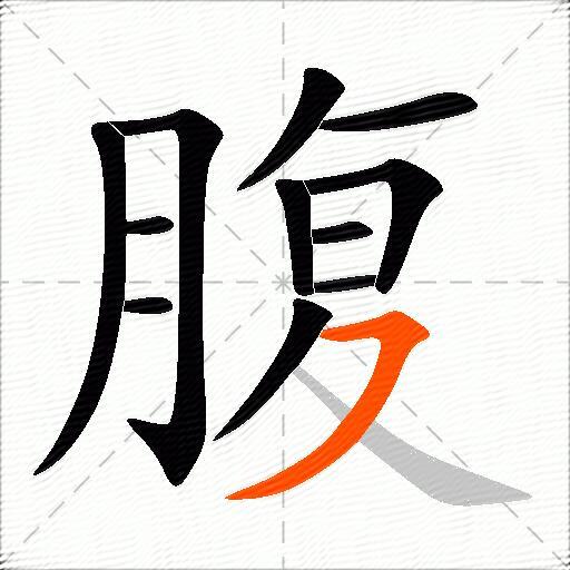 腹