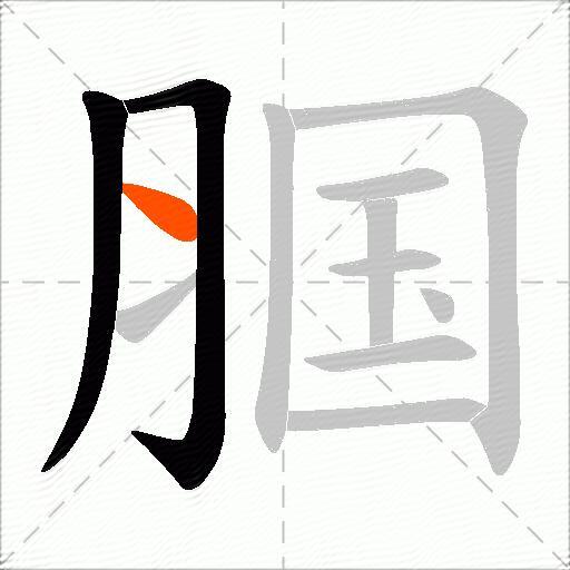 腘