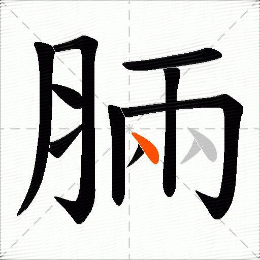 脼