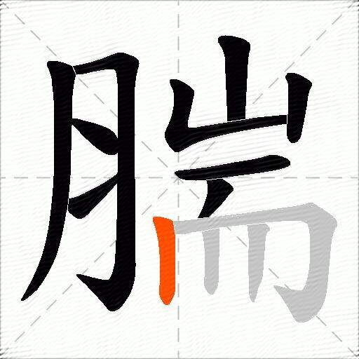 腨