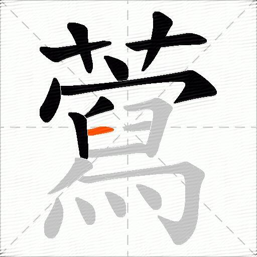 藛