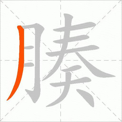 腠