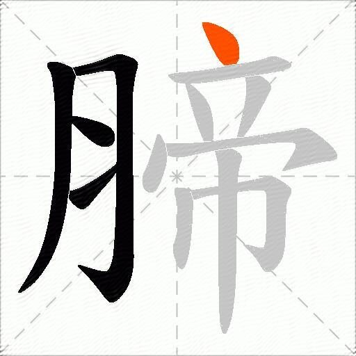腣