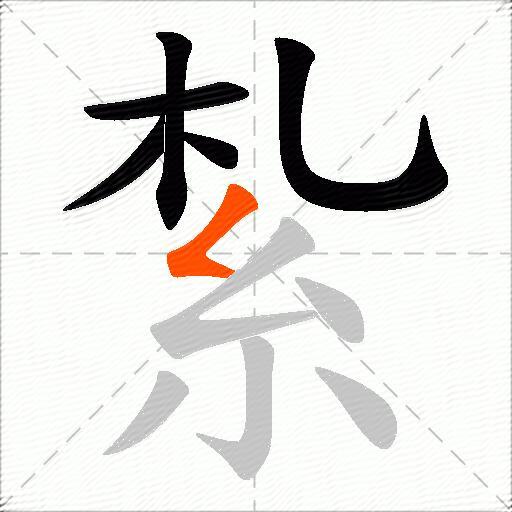 紮