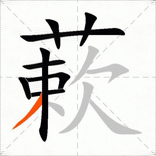 蔌