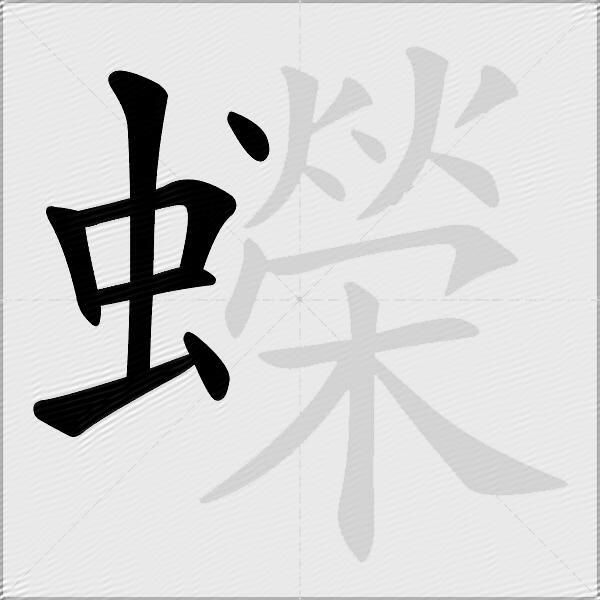 蠑
