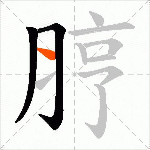 脝