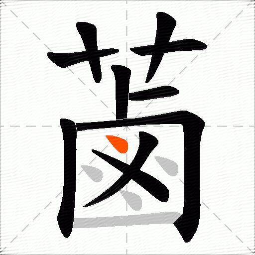 蓾