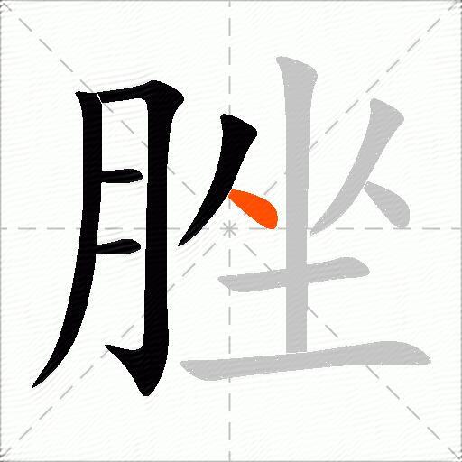 脞