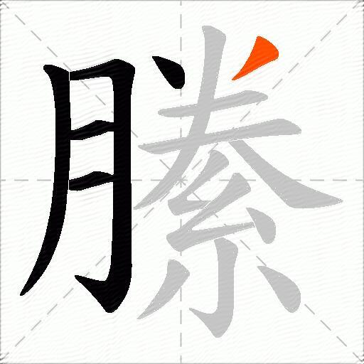 縢