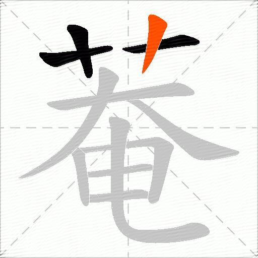 菴