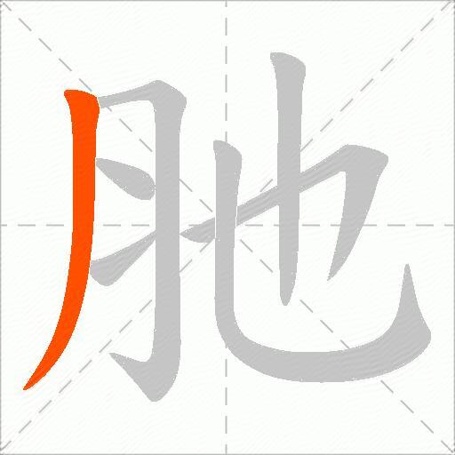 肔