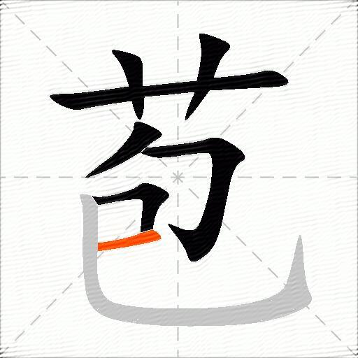 苞