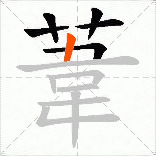葦