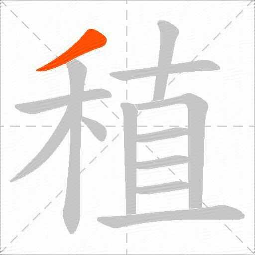 稙