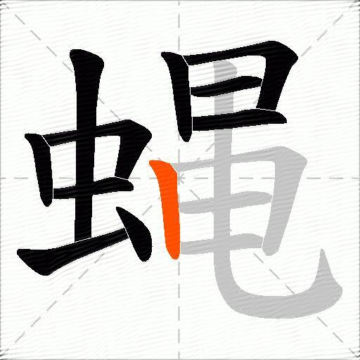 蝿
