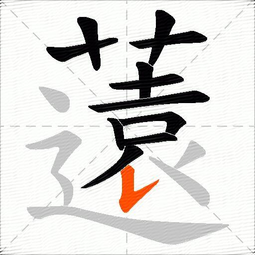 薳