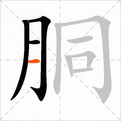 胴
