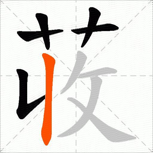 荍