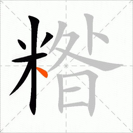 糌