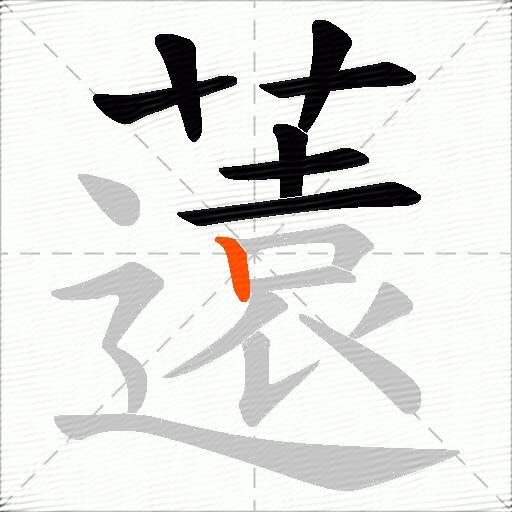 薳