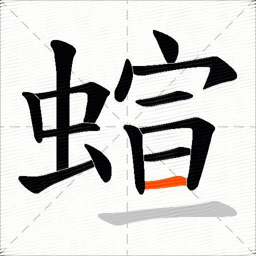 蝖