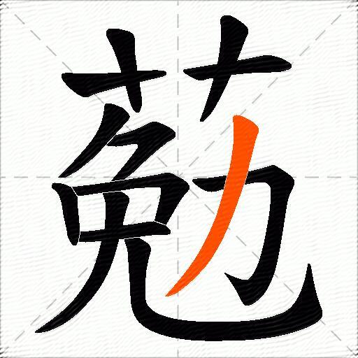 葂