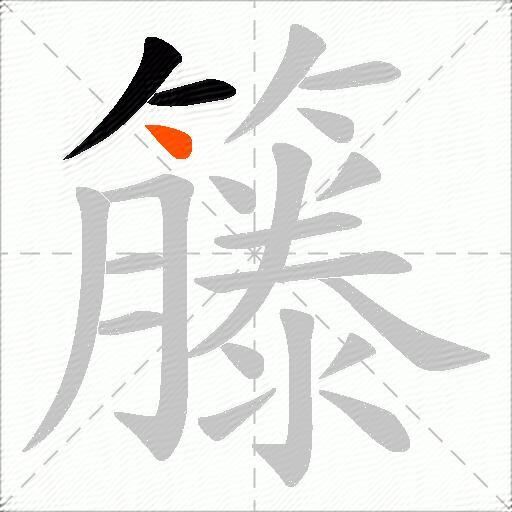 籐