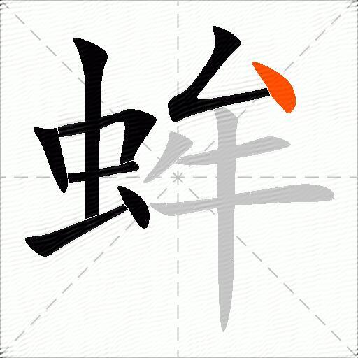 蛑