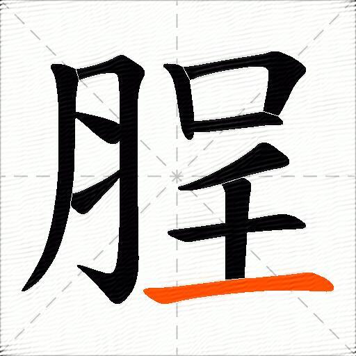 脭